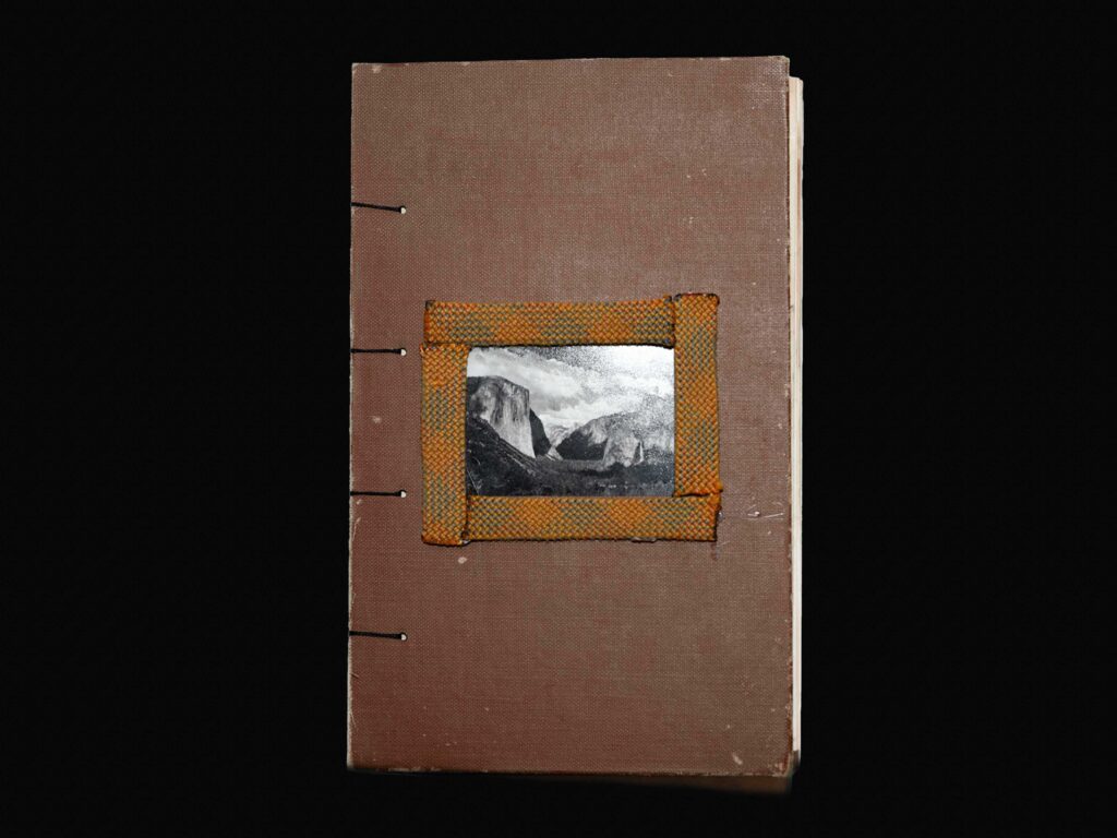 YLF-cover